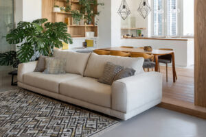 Read more about the article Secrets to Separating a Modern and Airy Living Room: Super Easy Tips for a “Million Dollar” Apartment