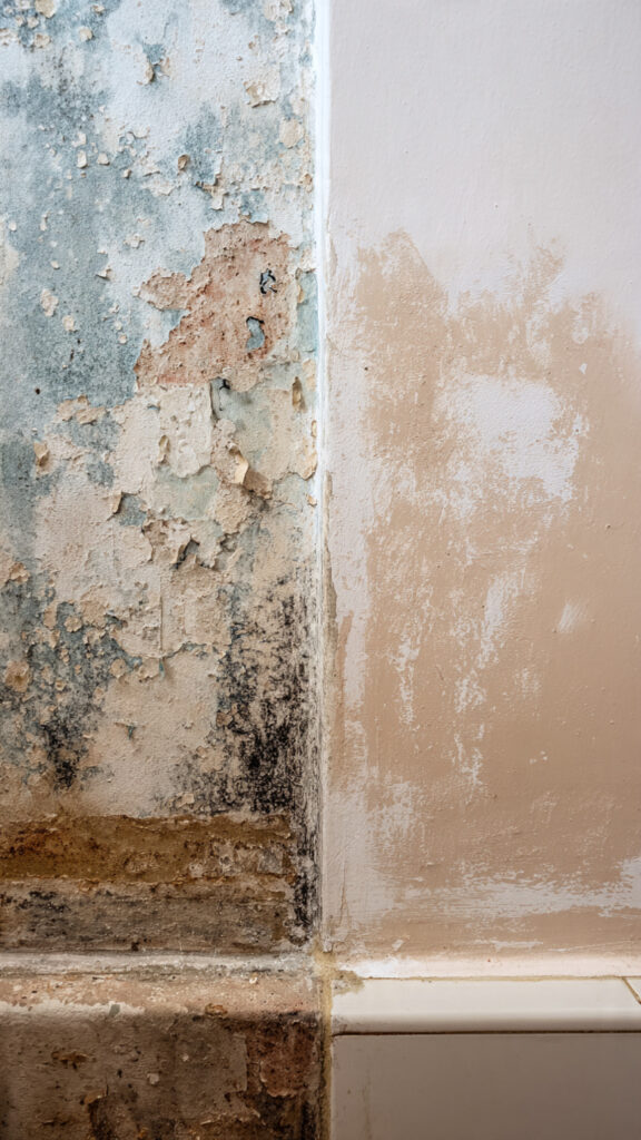 10 Best Small Bathroom Paint Colors to Make Your Space Feel Twice as Big